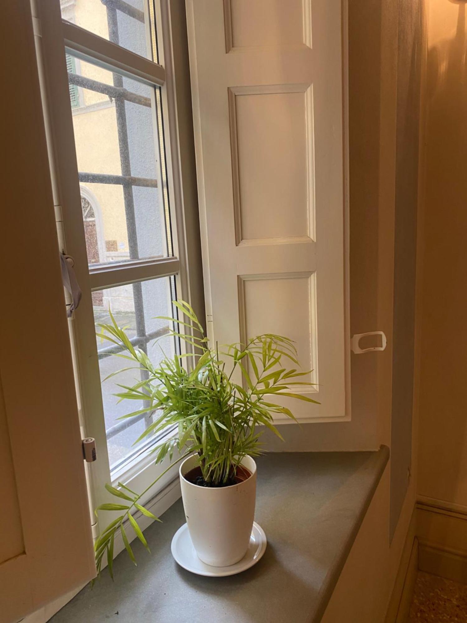 Casa Dei Cherubini ルッカ エクステリア 写真